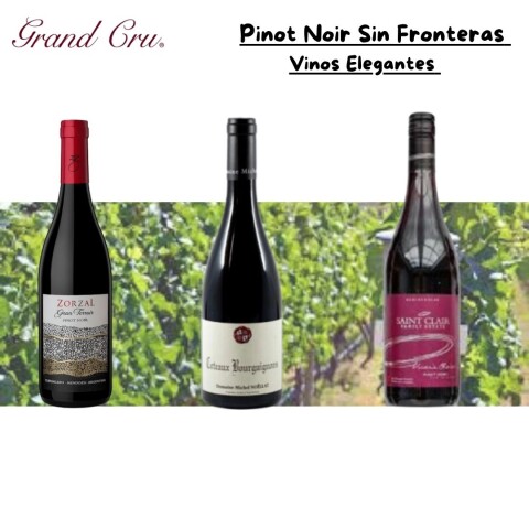 Pinot Noir Sin Fronteras Pinot Noir Sin Fronteras