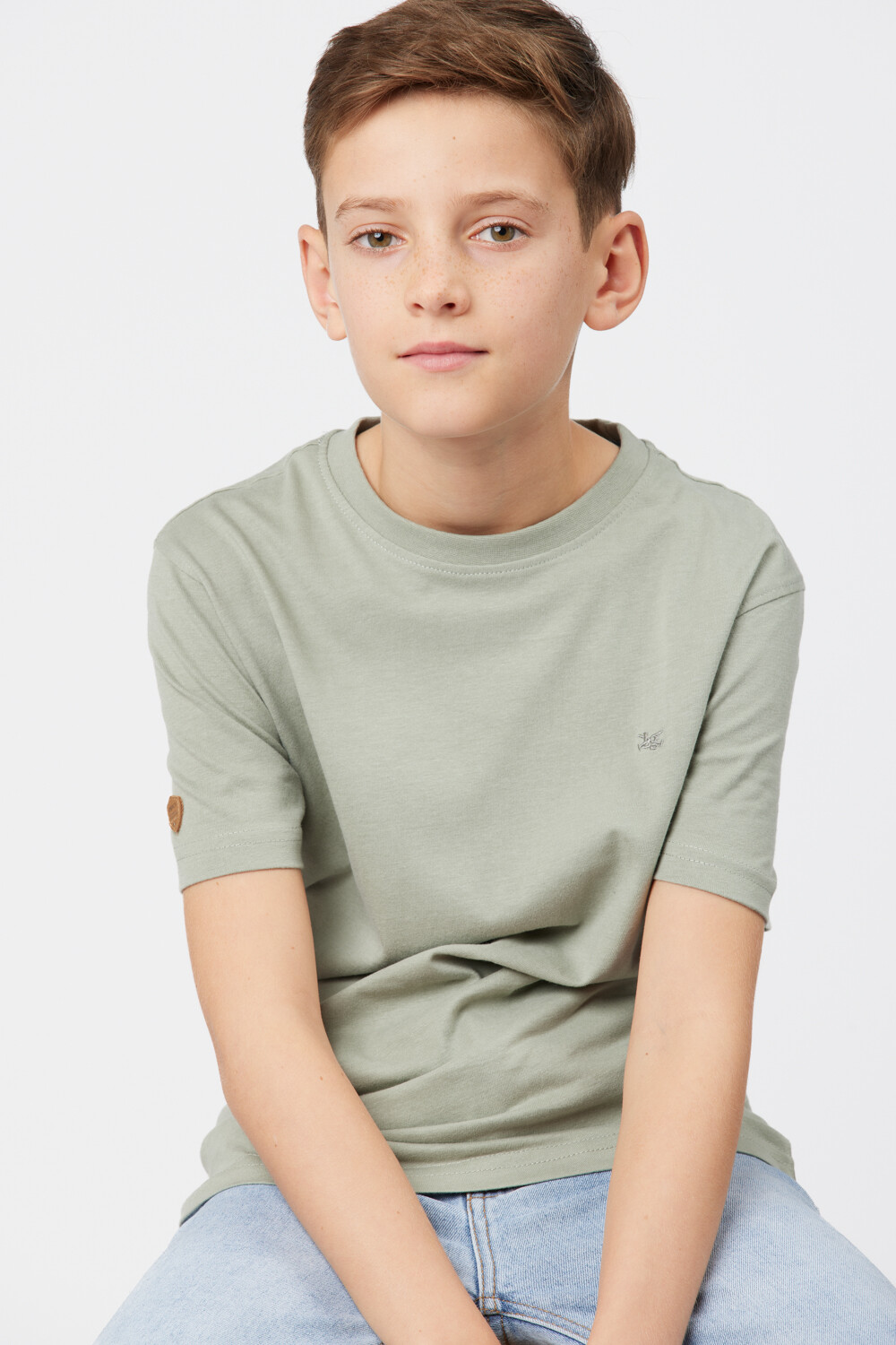 REMERA BÁSICA DE ALGODÓN Pistacho