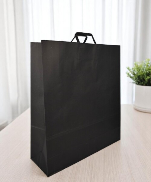 Bolsa lisa acuario 44x14x48 cm NEGRO