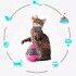 Juguete Gato Dispensador Comida Interactivo Mascota Alimento Color Variante Rosa
