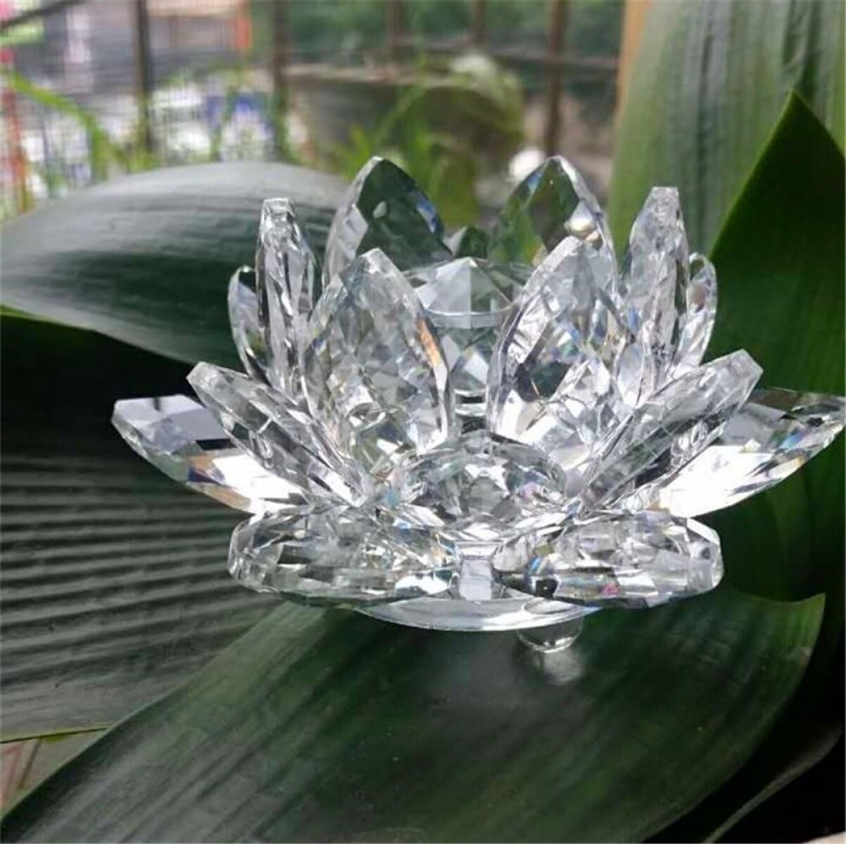 Flor De Loto Grande - Translucida 
