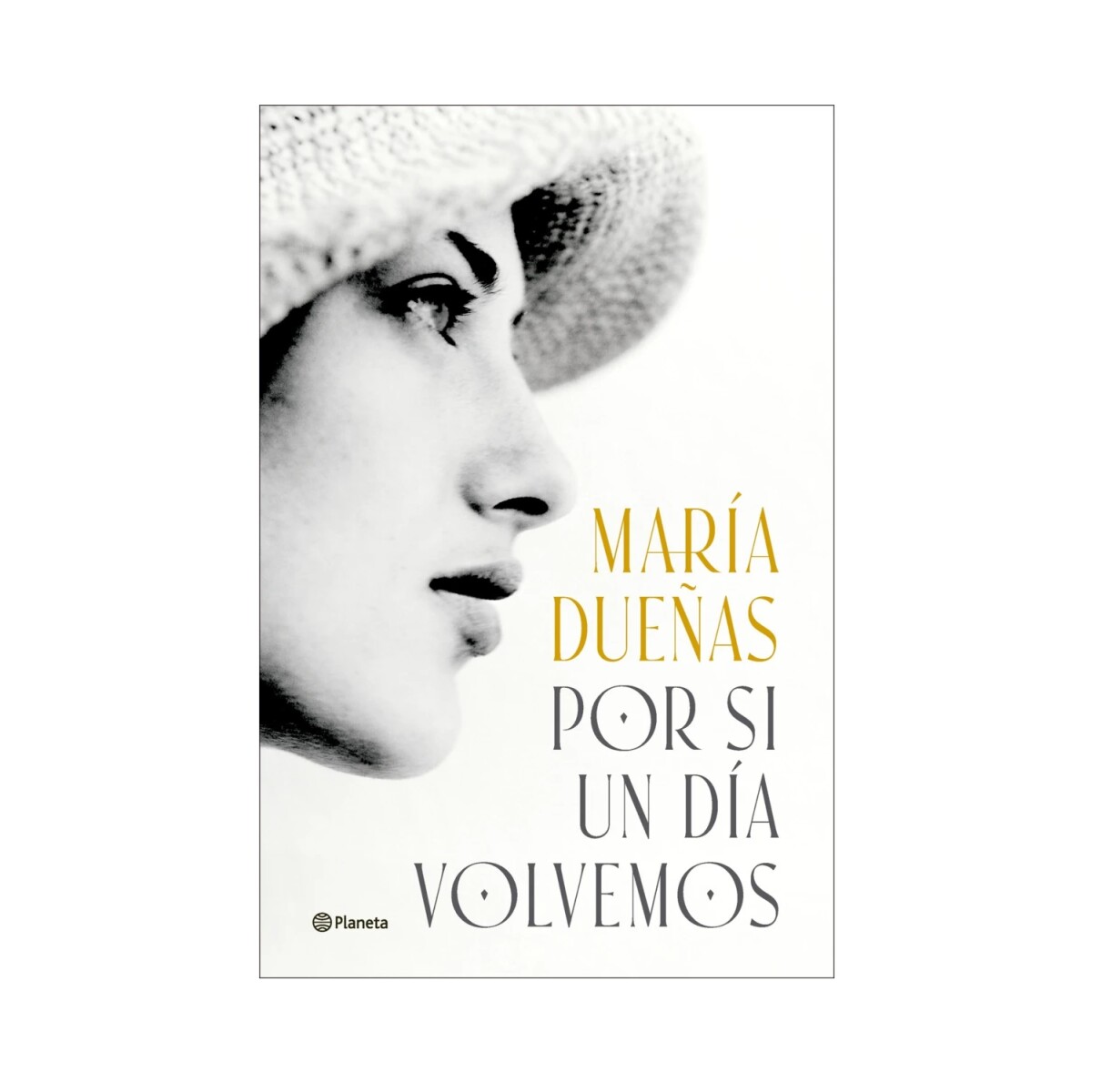 Por Si Un Día Volvemos 