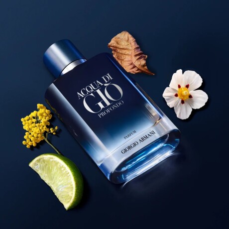 Perfume Giorgio Armani Acqua di Gio Profondo Parfum 50ML Original Perfume Giorgio Armani Acqua di Gio Profondo Parfum 50ML Original