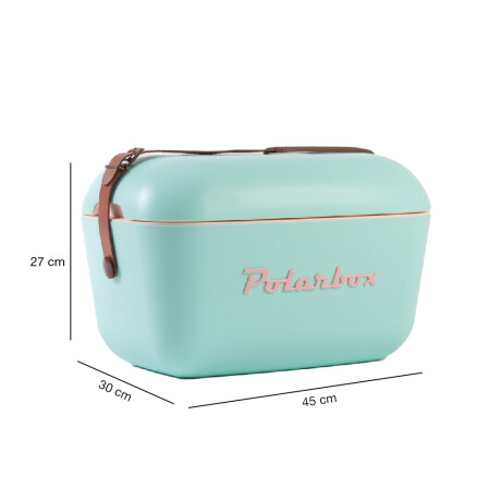 Conservadora Térmica Retro 20L Polarbox Playa Camping Viajes Verde Agua/rosa