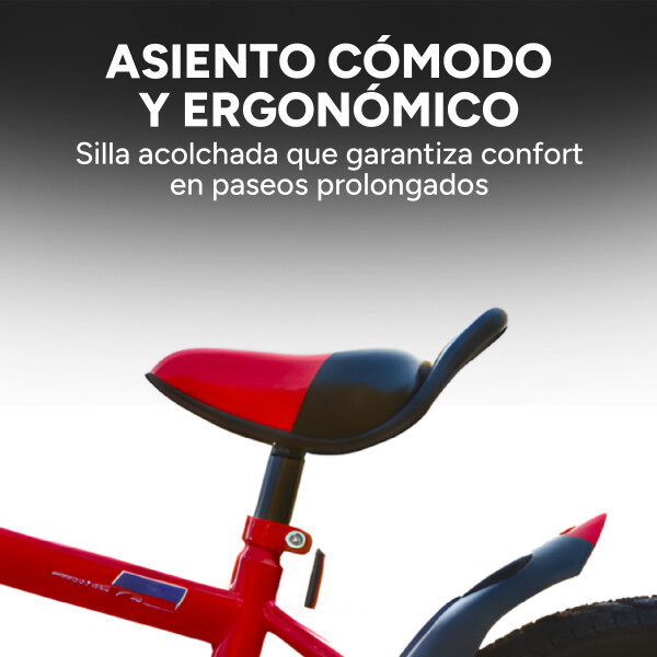 Bicicleta Infantil Yjtong R18 Canasto Parrilla Guardabarros Rojo 1