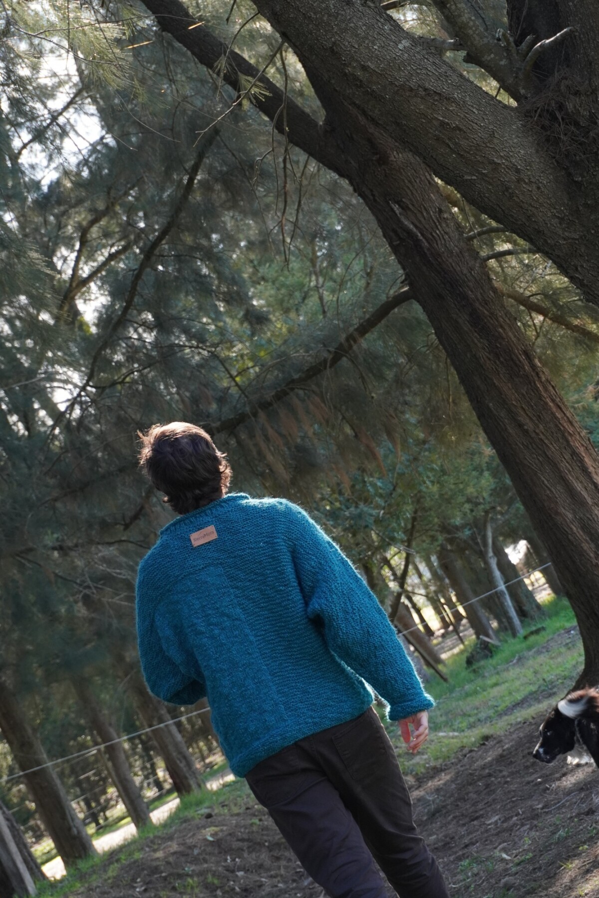 Buzo English Point Men Turquesa