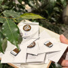 Pins Pins