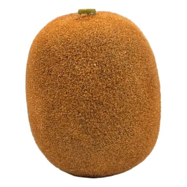 Fruta Artificial - Kiwi marrón oscuro Fruta Artificial - Kiwi marrón oscuro