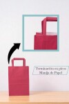 Bolsa lisa acuario 14x08x20 cm FUCSIA