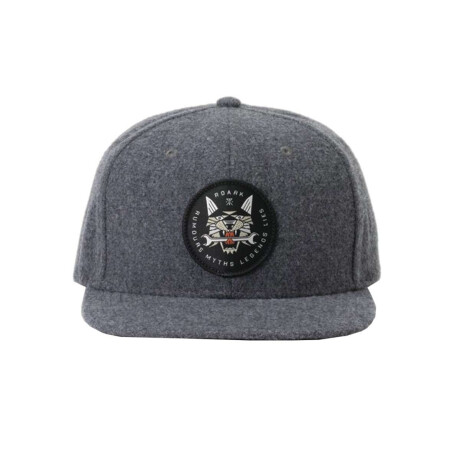 Gorro Roark Lynx 6 Panel Gris