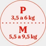 P/M