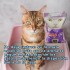 ARENA AGLOMERANTE STRONG PACK 16 KILOS LAVANDA