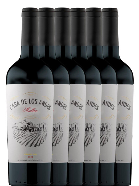 Promo 5+1 Casa de los Andes Malbec Promo 5+1 Casa de los Andes Malbec