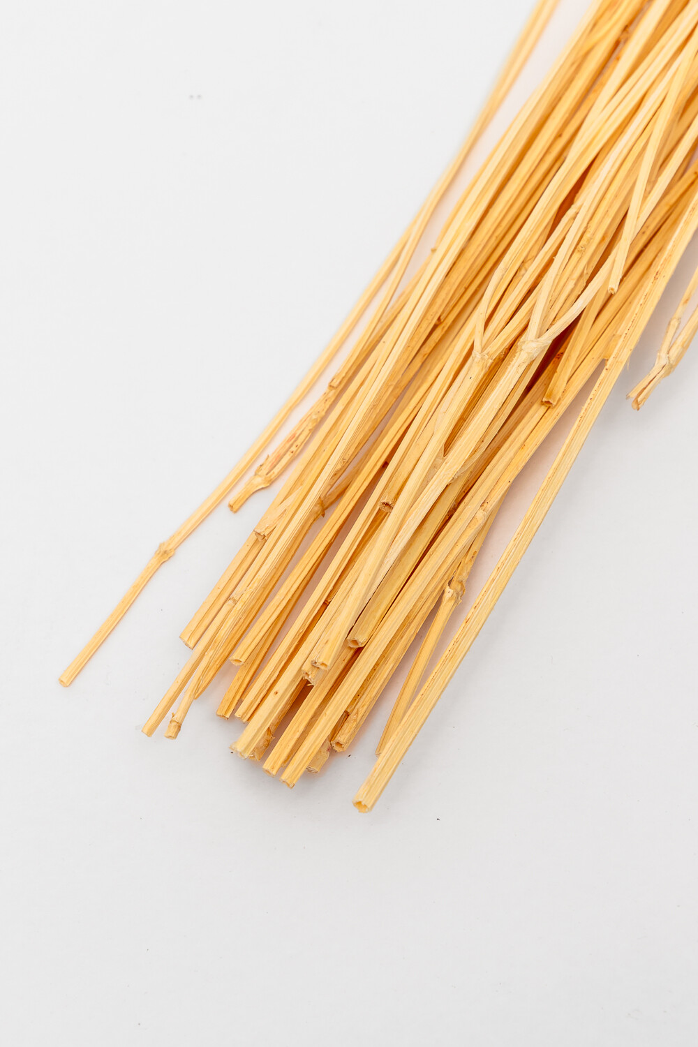 Deco Floral Flores Secas Color Unico