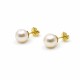 9.5 Mm Caravanas De Oro 18K Y Perlas De Cultivo 9.5 Mm Caravanas De Oro 18K Y Perlas De Cultivo