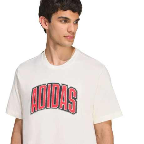 Remera Stadium Collegiate Graphic De Hombre Blanco