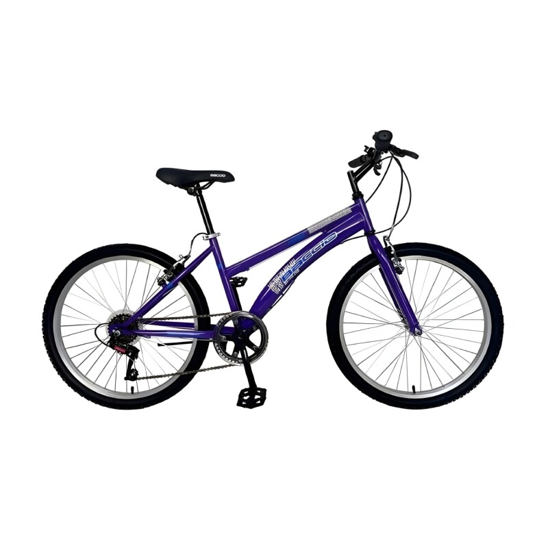 Bicicleta Baccio Alpina Lady Rodado 26 Montaña Con 6 Cambios Shimano Violeta