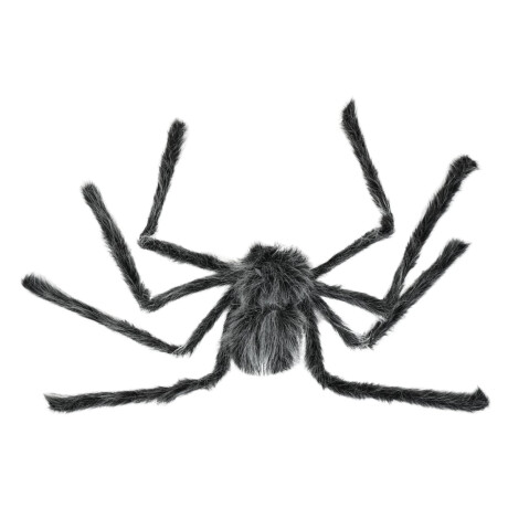 Araña peluda patas largas Halloween Araña peluda patas largas Halloween