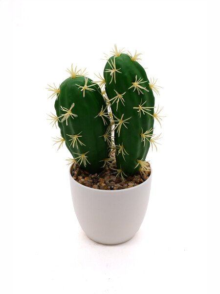 CACTUS VERDE