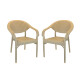 Set x2 Sillas con apoya brazos BEIGE