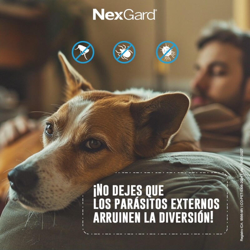 NEXGARD PASTILLA ANTIPULGAS Y GARRAPATAS X 1 COMP DE 10 A 25 KG