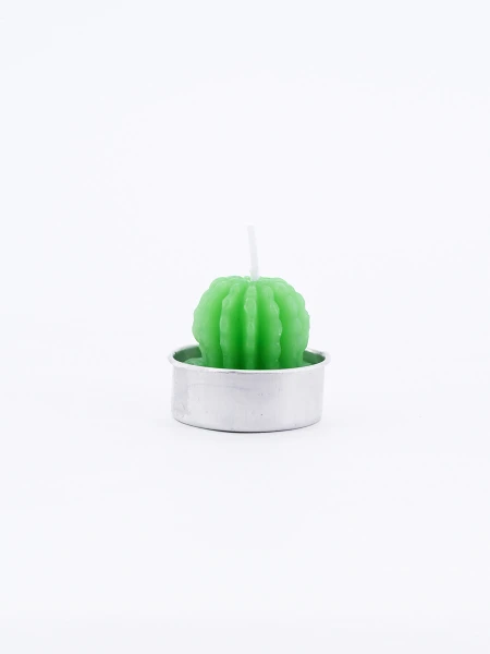 SUCULENTA VELA CACTUS VERDE
