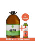 Aceite de Oliva - BLEND SELECCIÓN / 5 litros - BIDÓN GASTRONÓMICO + PICUAL REGALO Aceite de Oliva - BLEND SELECCIÓN / 5 litros - BIDÓN GASTRONÓMICO + PICUAL REGALO