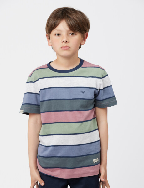 REMERA RAYADA Verde