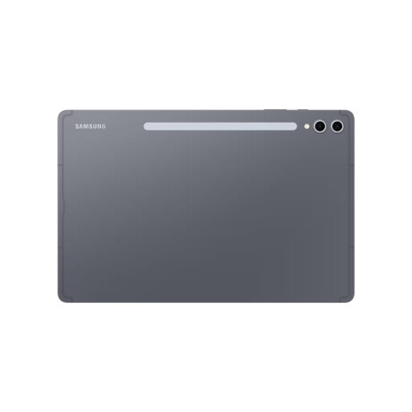 Samsung Galaxy Tab S10 Plus 256 GB Grey