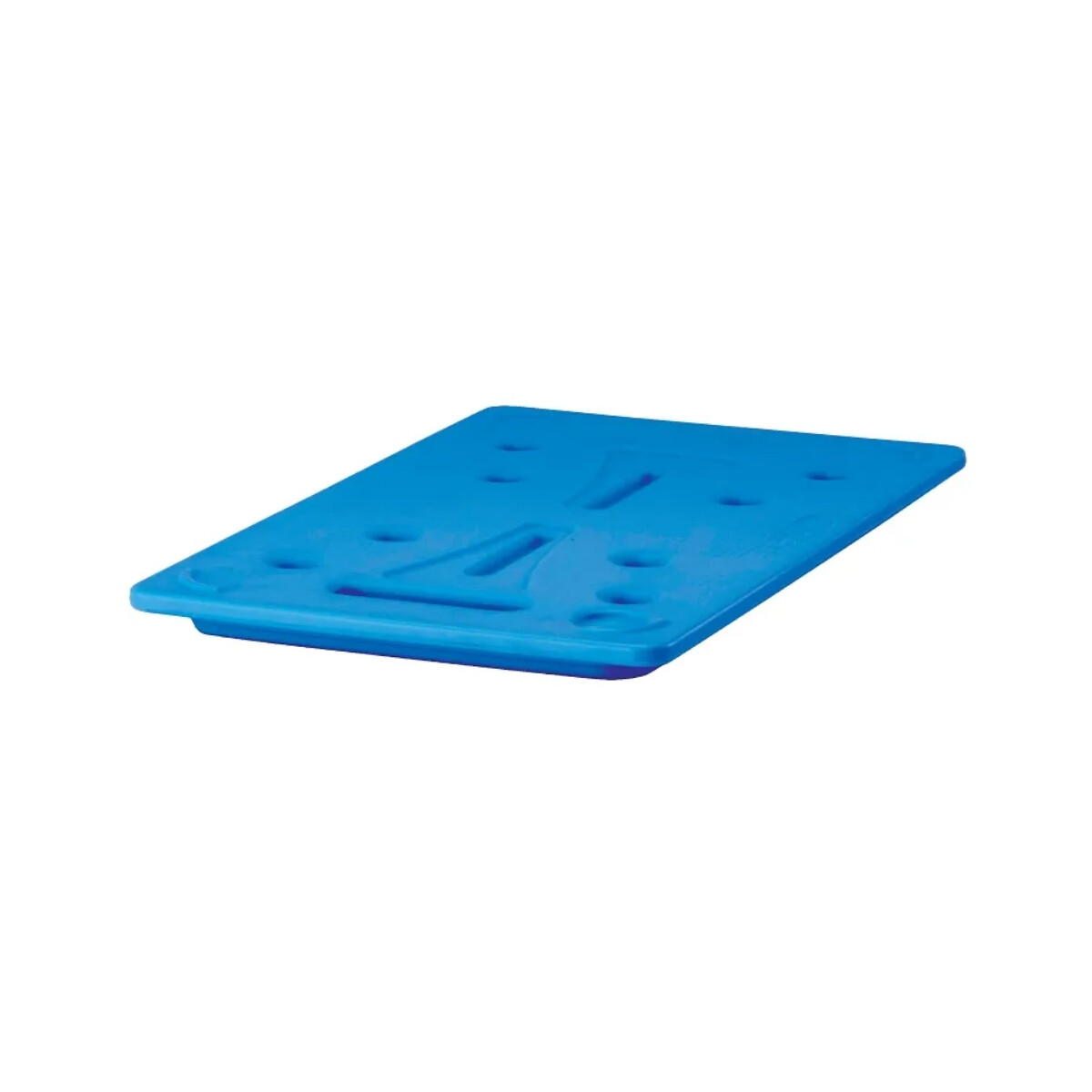 Placa de Frio para Contenedores 