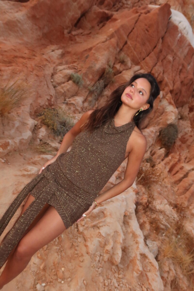 Preorder - Vestido Avallon SS27 - Coffee 