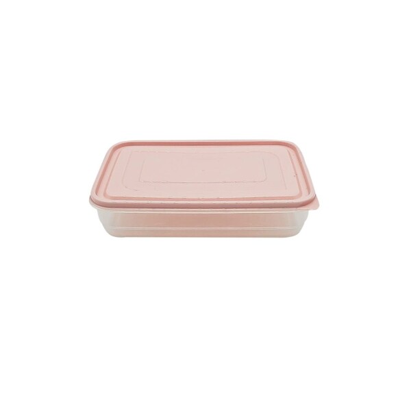 RECIPIENTE RECTANGULAR ELEGANT FRESHLIFE 2,5L SURTIDO RECIPIENTE RECTANGULAR ELEGANT FRESHLIFE 2,5L SURTIDO
