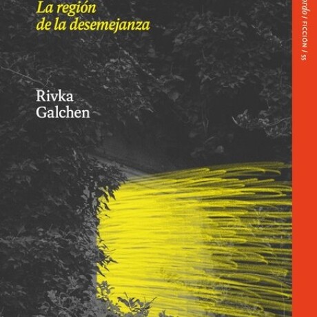 LA REGION DE LA DESEMEJANZA LA REGION DE LA DESEMEJANZA