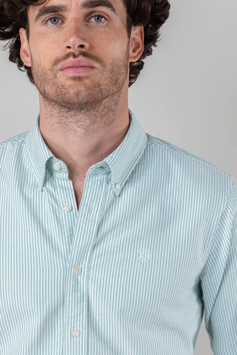 Camisa Oxford El Ganso Raya Yale Verde