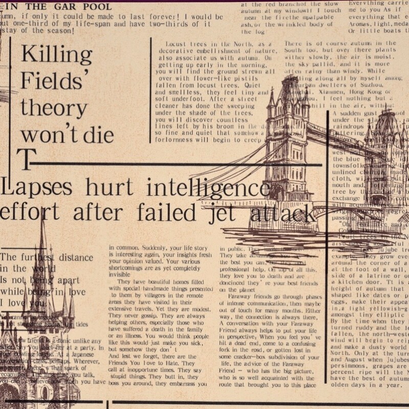 COLECCIÓN DESIGN BY PINTELUX - PATTERN 52302 - N/A