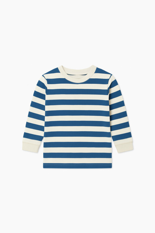 Remera m/l a rayas AZUL Y BLANCO