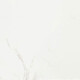 Porcelanato Para Piso Y Pared 60X60 Blanco Marmolado Pulido Rectificado Elizabeth