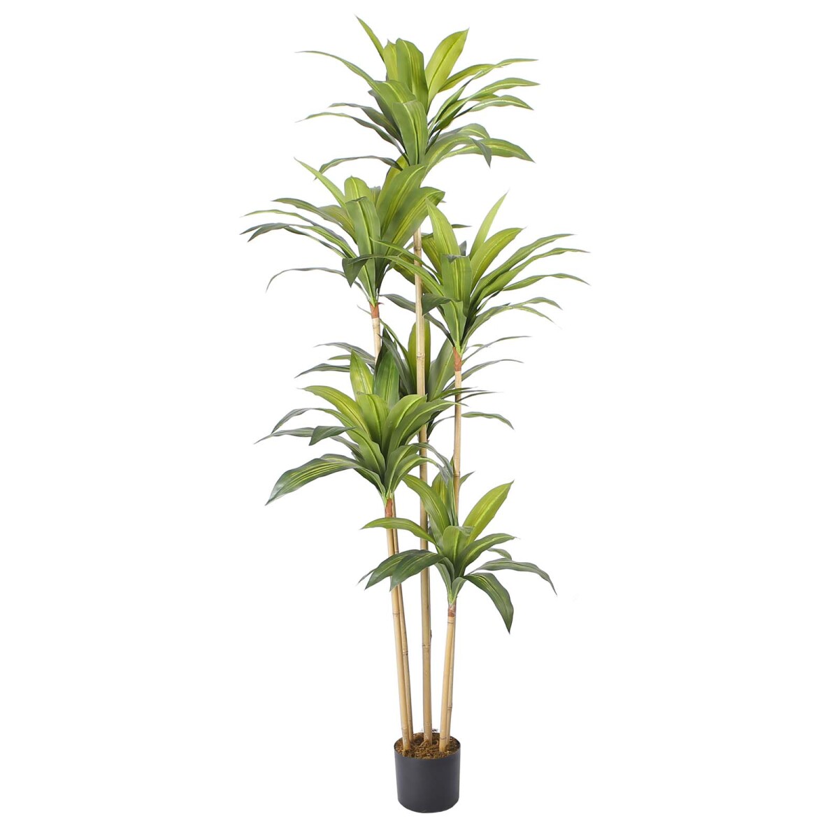 DRACAENA - ARTIFICIAL Y8 VERDE ARTIFICIAL Y8066-117-6TS-N 
