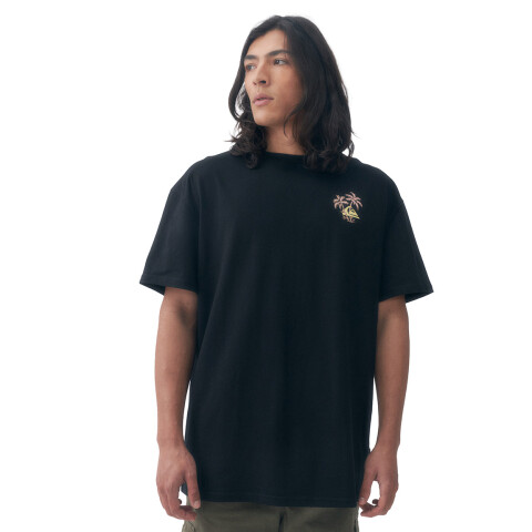 Remera Hombre Quiksilver Evo Negro