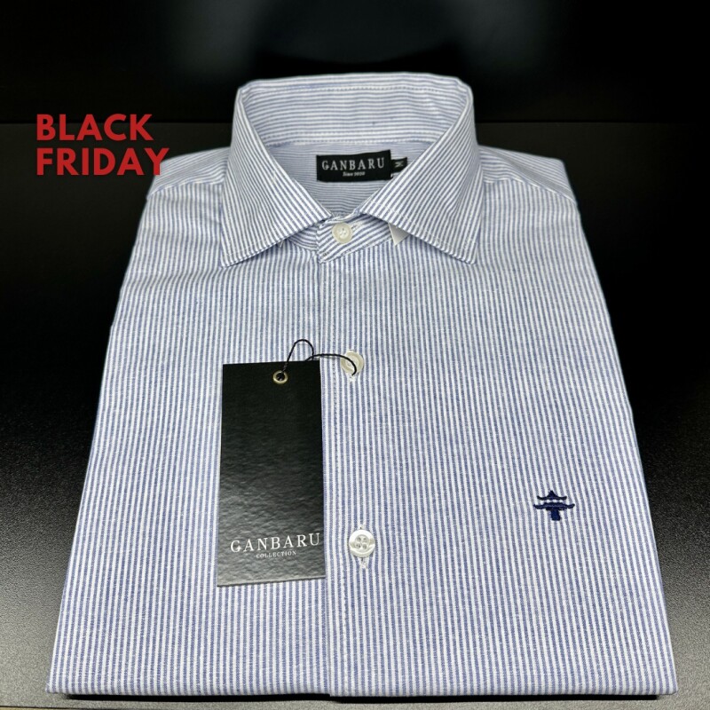CAMISA DE LINO Blanco rayado