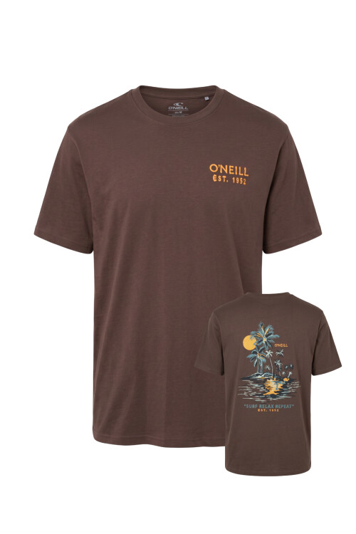 Remera O'Neill Oceanside Marrón