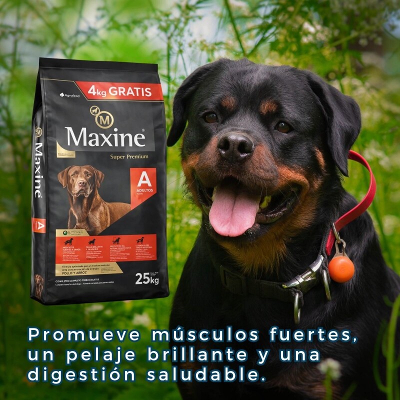 MAXINE PERROS ADULTOS TODAS LAS RAZAS - 21 + 4 KG MAXINE PERROS ADULTOS TODAS LAS RAZAS - 21 + 4 KG