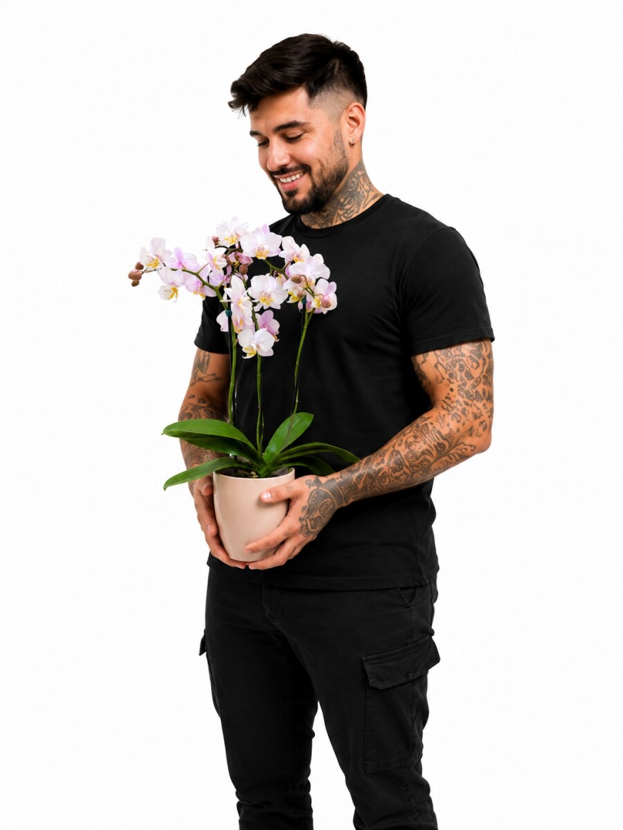 ORQUÍDEA MINI CON MACETA ROSA