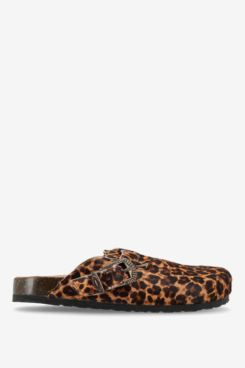 CLOG CORAL Leopardo