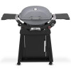 Weber Q2800 Gris Weber Q2800 Gris