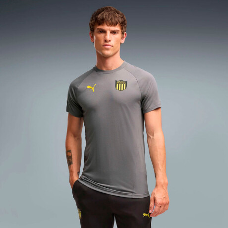 Remera de Hombre Puma Peñarol Evostripe Tee Gris - Amarillo