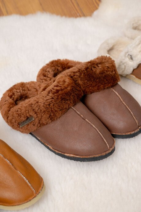 Pantufla borrego Oxido