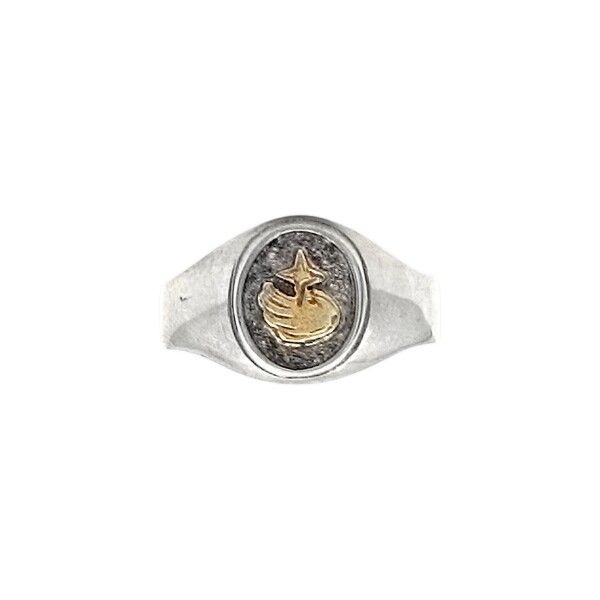Anillo Profesión -Plata y Oro-Sin Piedra-AP5021 sinpiedra