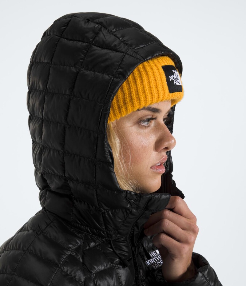 Campera parka Thermoball Tnf Black