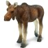Vaca Moose Replica Muñeco Figura Safari Alce Hembra Juguete Vaca Moose Replica Muñeco Figura Safari Alce Hembra Juguete
